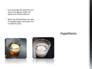  Corn Syrup Egg- My hypothesis was
  wrong. The egg got smaller and
  lighter. And it looked different.

 Water Egg- My hypothesis was right.
  The egg got bigger and heavier. And
  it looked the same.
 