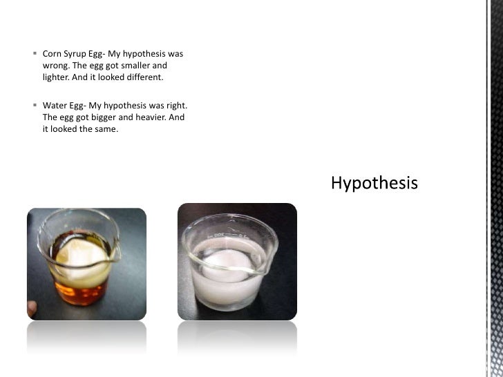 Egg osmosis experiment