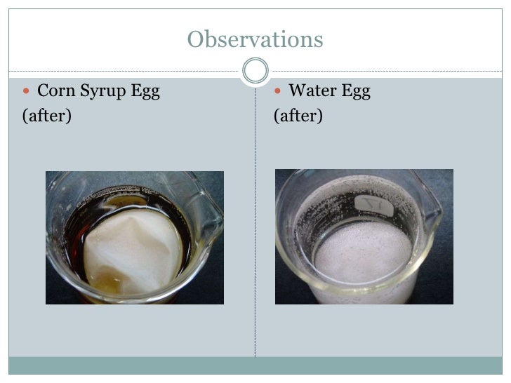 Joanna Egg osmosis experiment