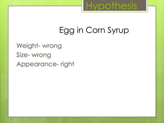 Hypothesis

            Egg in Corn Syrup
Weight- wrong
Size- wrong
Appearance- right
 