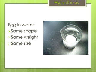 Hypothesis



Egg in water
 Same shape
 Same weight
 Same size
 