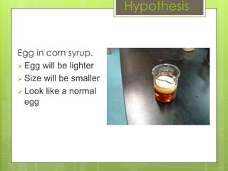 Hypothesis


Egg in corn syrup.
 Egg will be lighter
 Size will be smaller
 Look like a normal
  egg
 