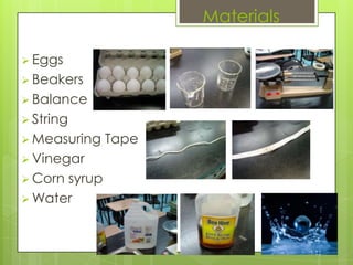 Materials

 Eggs
 Beakers
 Balance
 String
 Measuring   Tape
 Vinegar
 Cornsyrup
 Water
 
