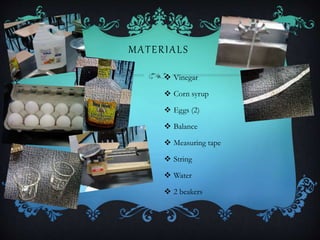 MATERIALS
 Vinegar
 Corn syrup
 Eggs (2)
 Balance
 Measuring tape
 String
 Water
 2 beakers
 