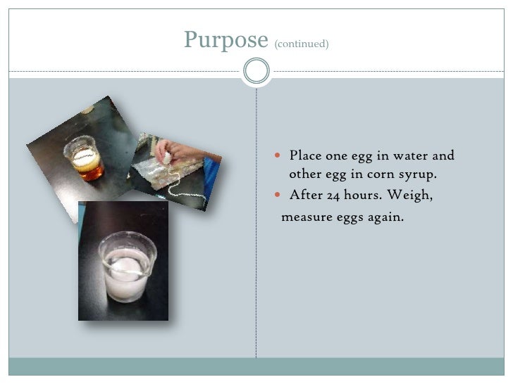 daphne's egg osmosis experiment