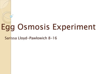 Egg Osmosis Experiment
Sarissa Lloyd-Pawlowich 8-16
 