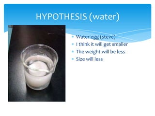 HYPOTHESIS (water)
        Water egg (steve)
        I think it will get smaller
        The weight will be less
        Size will less
 
