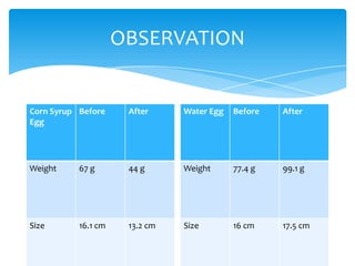 OBSERVATION


Corn Syrup Before     After     Water Egg   Before   After
Egg




Weight     67 g       44 g      Weight      77.4 g   99.1 g




Size       16.1 cm    13.2 cm   Size        16 cm    17.5 cm
 