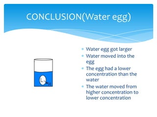 CONCLUSION(Water egg)


            Water egg got larger
            Water moved into the
            egg
            The egg had a lower
            concentration than the
            water
            The water moved from
            higher concentration to
            lower concentration
 