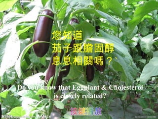 您知道
          茄子跟膽固醇
          息息相關嗎？`

Do you know that Eggplant & Cholesterol
          is closely related?
 