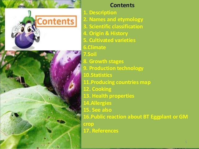 eggplant production overview by