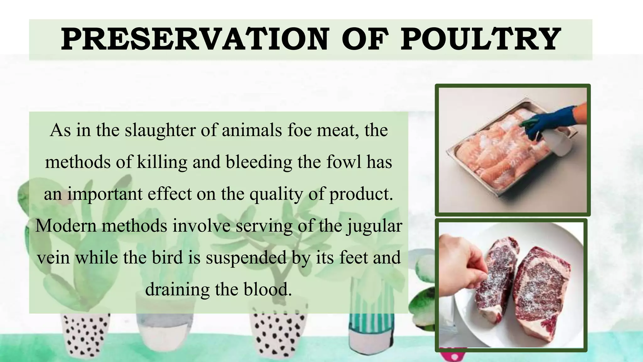 PRESERVATION OF POULTRY
As in the slaughter of animals foe meat, the
methods of killing and bleeding the fowl has
an important effect on the quality of product.
Modern methods involve serving of the jugular
vein while the bird is suspended by its feet and
draining the blood.
 