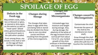 SPOILAGE OF EGG
Defects in the
Fresh egg
May exhibit cracks, leaks,
loss or blossom or gloss,
or stained or dirty spots
on the exterior as well as
“meat spots” (blood
clots), general bloodiness
or translucent spots in
the yolk when candled.
From among these, any
breaks in the shell or dirt
on the egg will favor
spoilage on storage.
Changes during
Storage
The changes that takes
place in eggs while they
care being held or stored
may be divided into these
due to non-microbial
causes and those
resulting from the growth
of the micro-organisms.
Changes not
caused by
Microorganisms
Untreated eggs lose
moisture and weight
during storage. Also,
during storage, the
alkalinity of the white of
the egg increases from a
normal pH from about
7.6 to 9.5. any marked
growth of the chick
embryos in fertilized eggs
also serve to condemn
the eggs.
Changes caused by
Microorganisms
Contaminate the shell.
Penetrate the pores of
the shell to the
membrane (on moist
shell).
Grow through the shell
membranes to reach the
white (the yolk too if it
touches the membrane).
 