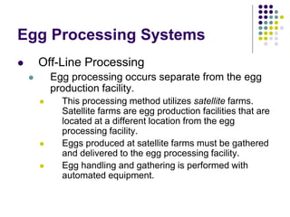 Egg Processing Systems
 Off-Line Processing
 Egg processing occurs separate from the egg
production facility.
 This processing method utilizes satellite farms.
Satellite farms are egg production facilities that are
located at a different location from the egg
processing facility.
 Eggs produced at satellite farms must be gathered
and delivered to the egg processing facility.
 Egg handling and gathering is performed with
automated equipment.
 