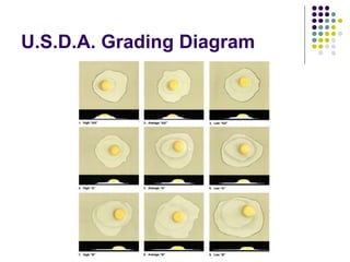 U.S.D.A. Grading Diagram
 