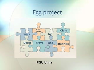 Egg project 
PGU Unna 
 