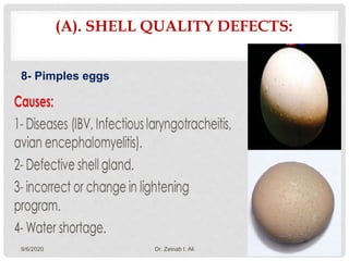 Egg quality defects | PPTX