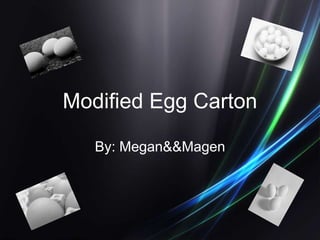 Modified Egg Carton
By: Megan&&Magen
 