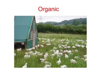 Organic 