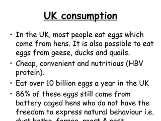 UK consumption In the UK, most people eat eggs which come from hens. It is also possible to eat eggs from geese, ducks and quails.  Cheap, convenient and nutritious (HBV protein).  Eat over 10 billion eggs a year in the UK 86% of these eggs still come from battery caged hens who do not have the freedom to express natural behaviour i.e. dust bathe, forage, roost & nest 