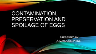 CONTAMINATION,
PRESERVATION AND
SPOILAGE OF EGGS
PRESENTED BY
• A. MARIAJOSEPHINE
 