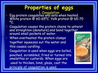 Eggs.ppt