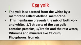 • The yolk is separated from the white by a
membrane called vitelline membrane.
• This membrane prevents the mix of both yolk
and white. 1/6th parts of the egg yolk
contains proteins, 1/3rd fat and the rest water,
Vitamins and minerals like Calcium,
Phosphorus, Iron etc.
Egg yolk
 