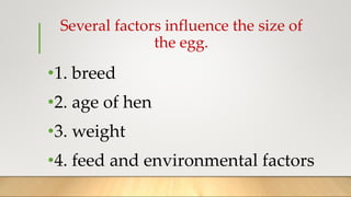 Several factors influence the size of
the egg.
•1. breed
•2. age of hen
•3. weight
•4. feed and environmental factors
 