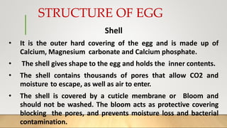 STRUCTURE OF EGG
Shell
• It is the outer hard covering of the egg and is made up of
Calcium, Magnesium carbonate and Calcium phosphate.
• The shell gives shape to the egg and holds the inner contents.
• The shell contains thousands of pores that allow CO2 and
moisture to escape, as well as air to enter.
• The shell is covered by a cuticle membrane or Bloom and
should not be washed. The bloom acts as protective covering
blocking the pores, and prevents moisture loss and bacterial
contamination.
 
