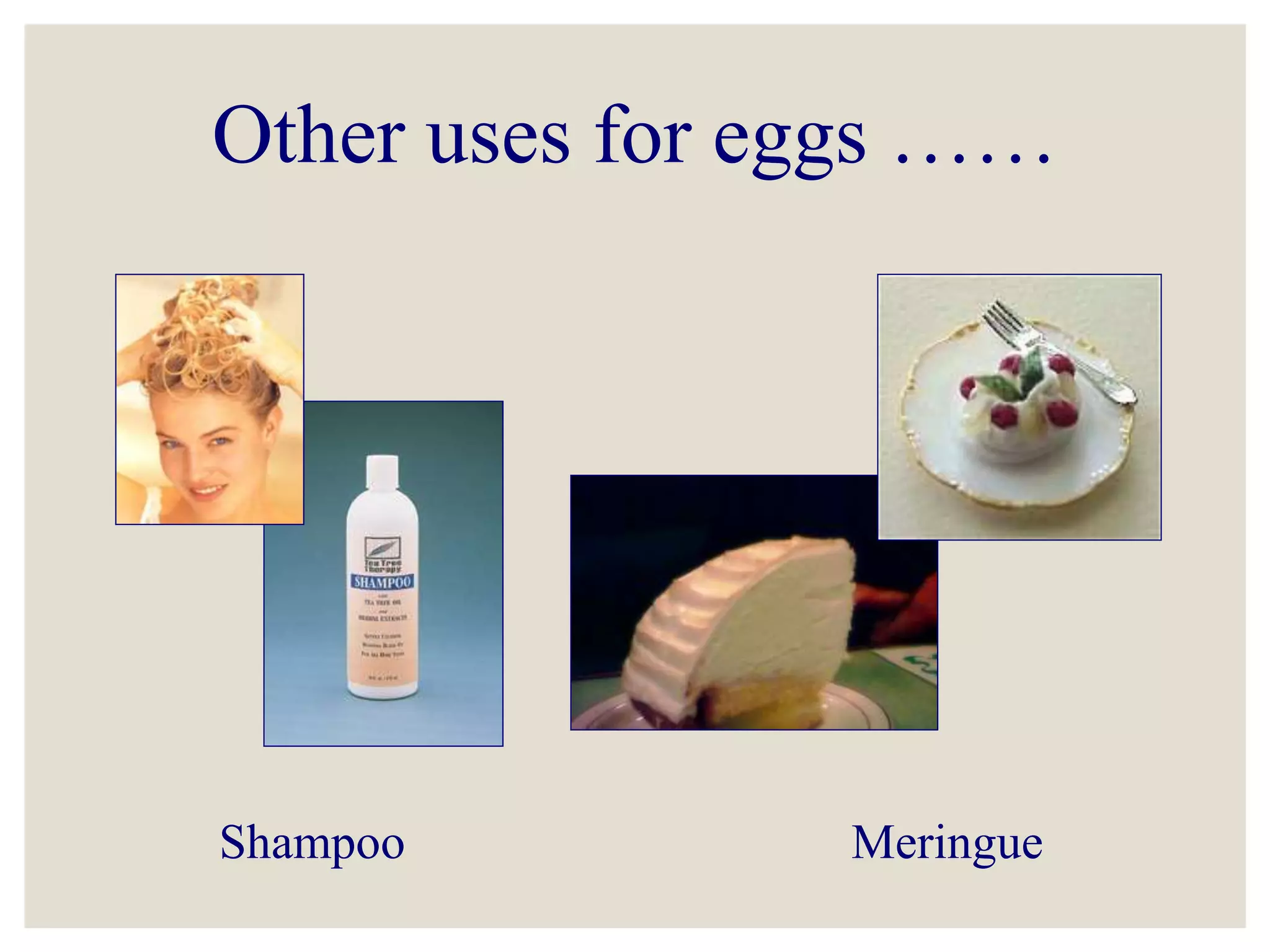 EGGS ppt eggs-ppt