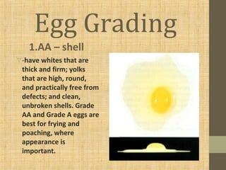 Egg Grading
1.AA – shell
∀-have whites that are
thick and firm; yolks
that are high, round,
and practically free from
defects; and clean,
unbroken shells. Grade
AA and Grade A eggs are
best for frying and
poaching, where
appearance is
important.
 