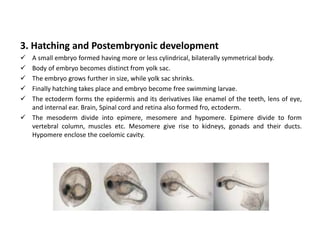 Symmetrical Hatching Eggs and larval dynamics of finfish and shellfish.pptx