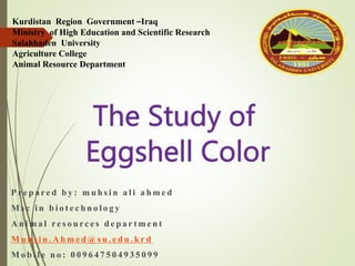 Kurdistan Region Government –Iraq
Ministry of High Education and Scientific Research
Salahhaden University
Agriculture College
Animal Resource Department
P re p a re d b y : m u h s i n a l i a h m e d
M s c i n b i o t e c h n o l o g y
A n i m a l re s o u rc e s d e p a r t m e n t
M u h s i n . A h m e d @ s u . e d u . k r d
M o b i l e n o : 0 0 9 6 4 7 5 0 4 9 3 5 0 9 9
 
