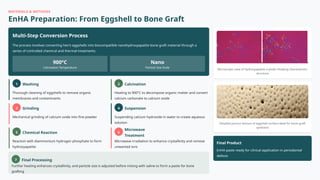Eggshell-Derived Nanohydroxyapatite as a Bone Graft for Intrabony ...