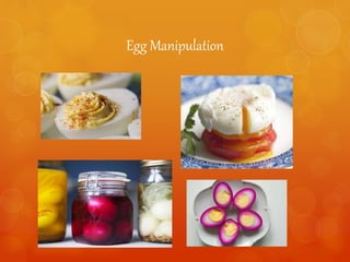 Egg Manipulation
 