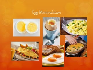 Egg Manipulation
 