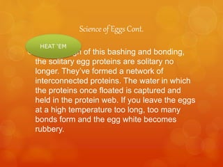 Science of Eggs Cont.
After enough of this bashing and bonding,
the solitary egg proteins are solitary no
longer. They’ve formed a network of
interconnected proteins. The water in which
the proteins once floated is captured and
held in the protein web. If you leave the eggs
at a high temperature too long, too many
bonds form and the egg white becomes
rubbery.
 