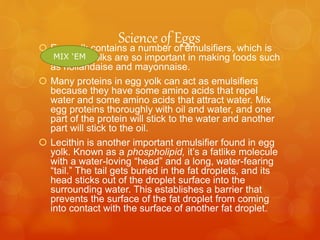 Science of Eggs Egg yolk contains a number of emulsifiers, which is
why egg yolks are so important in making foods such
as hollandaise and mayonnaise.
 Many proteins in egg yolk can act as emulsifiers
because they have some amino acids that repel
water and some amino acids that attract water. Mix
egg proteins thoroughly with oil and water, and one
part of the protein will stick to the water and another
part will stick to the oil.
 Lecithin is another important emulsifier found in egg
yolk. Known as a phospholipid, it’s a fatlike molecule
with a water-loving “head” and a long, water-fearing
“tail.” The tail gets buried in the fat droplets, and its
head sticks out of the droplet surface into the
surrounding water. This establishes a barrier that
prevents the surface of the fat droplet from coming
into contact with the surface of another fat droplet.
MIX ‘EM
 