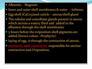 Egg structure and chemical composition | PPTX