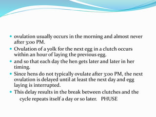  ovulation usually occurs in the morning and almost never
after 3:00 PM.
 Ovulation of a yolk for the next egg in a clutch occurs
within an hour of laying the previous egg.
 and so that each day the hen gets later and later in her
timing.
 Since hens do not typically ovulate after 3:00 PM, the next
ovulation is delayed until at least the next day and egg
laying is interrupted.
 This delay results in the break between clutches and the
cycle repeats itself a day or so later. PHUSE
 