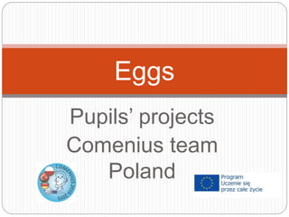 Pupils’ projects
Comenius team
Poland
Eggs
 