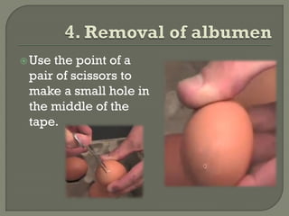  Use

the point of a
pair of scissors to
make a small hole in
the middle of the
tape.

 