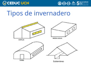 Tipos de invernadero
Subterráneo
 