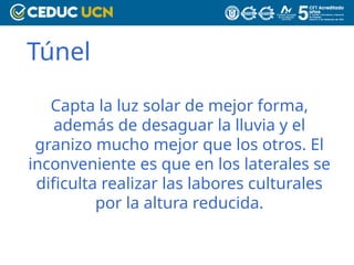 Túnel
Capta la luz solar de mejor forma,
además de desaguar la lluvia y el
granizo mucho mejor que los otros. El
inconveniente es que en los laterales se
dificulta realizar las labores culturales
por la altura reducida.
 
