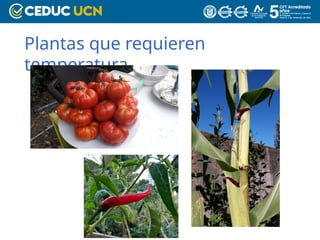 Plantas que requieren
temperatura
 