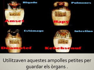 Utilitzaven aquestes ampolles petites per
           guardar els òrgans .
 