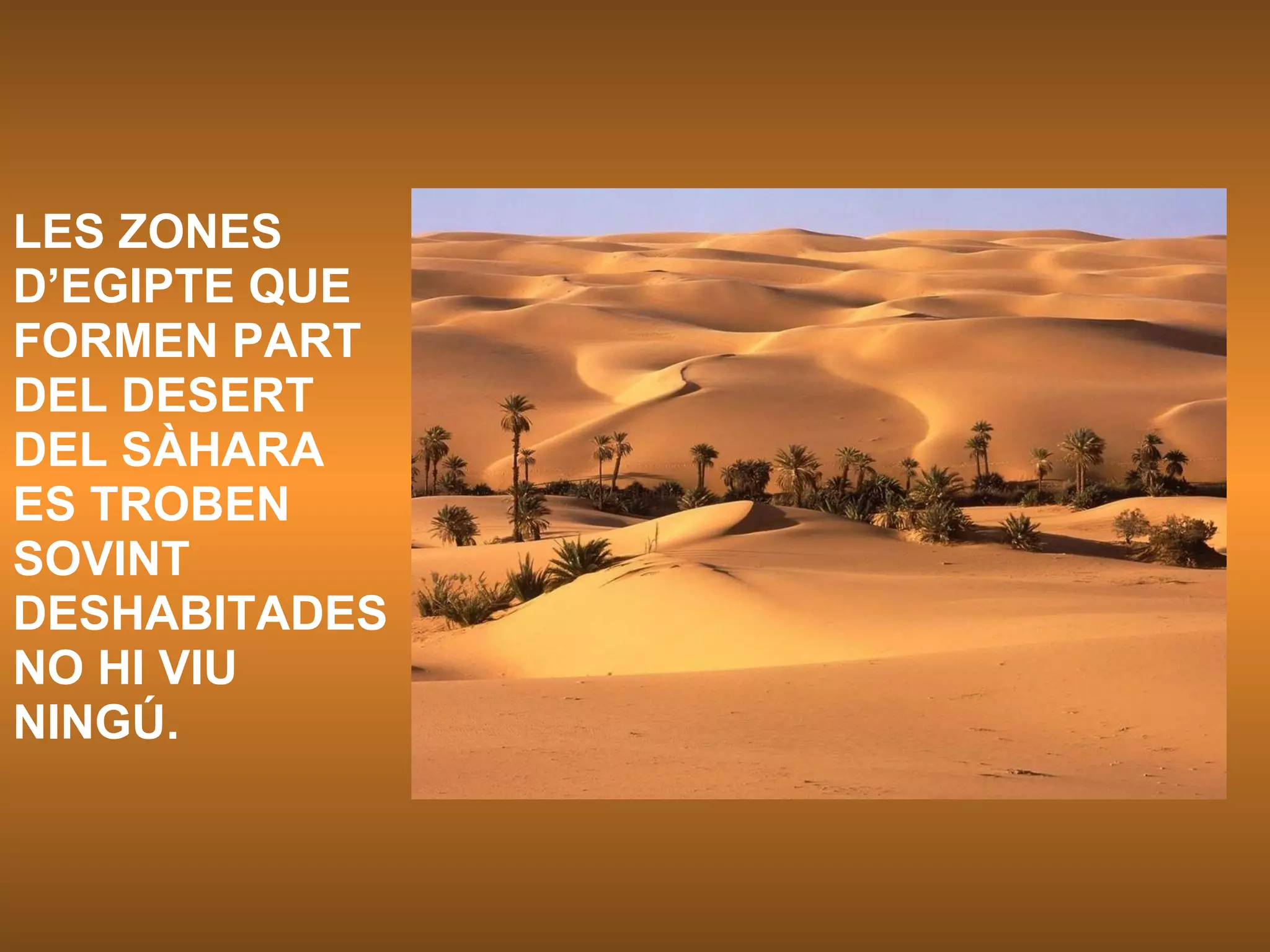 LES ZONES D’EGIPTE QUE FORMEN PART DEL DESERT DEL SÀHARA ES TROBEN SOVINT DESHABITADES NO HI VIU NINGÚ. 