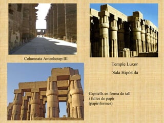 Temple Luxor  Sala Hipòstila Capitells en forma de tall i fulles de papir (papiriformes) Columnata Amenhotep III 