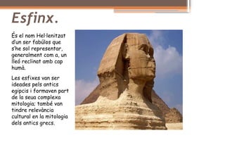 Esfinx.
És el nom Hel·lenitzat
d’un ser fabúlos que
s’he sol representar,
generalment com a, un
lleó reclinat amb cap
humà.
Les esfixes van ser
ideades pels antics
egipcis i formaven part
de la seua complexa
mitologia; també van
tindre relevància
cultural en la mitologia
dels antics grecs.
 