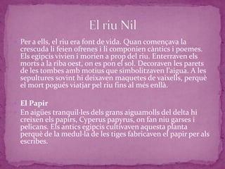  Per a ells, el riu era font de vida. Quan començava la
  crescuda li feien ofrenes i li componien càntics i poemes.
  Els egipcis vivien i morien a prop del riu. Enterraven els
  morts a la riba oest, on es pon el sol. Decoraven les parets
  de les tombes amb motius que simbolitzaven l’aigua. A les
  sepultures sovint hi deixaven maquetes de vaixells, perquè
  el mort pogués viatjar pel riu fins al més enllà.

 El Papir
 En aigües tranquil·les dels grans aiguamolls del delta hi
  creixen els papirs, Cyperus papyrus, on fan niu garses i
  pelicans. Els antics egipcis cultivaven aquesta planta
  perquè de la medul·la de les tiges fabricaven el papir per als
  escribes.
 